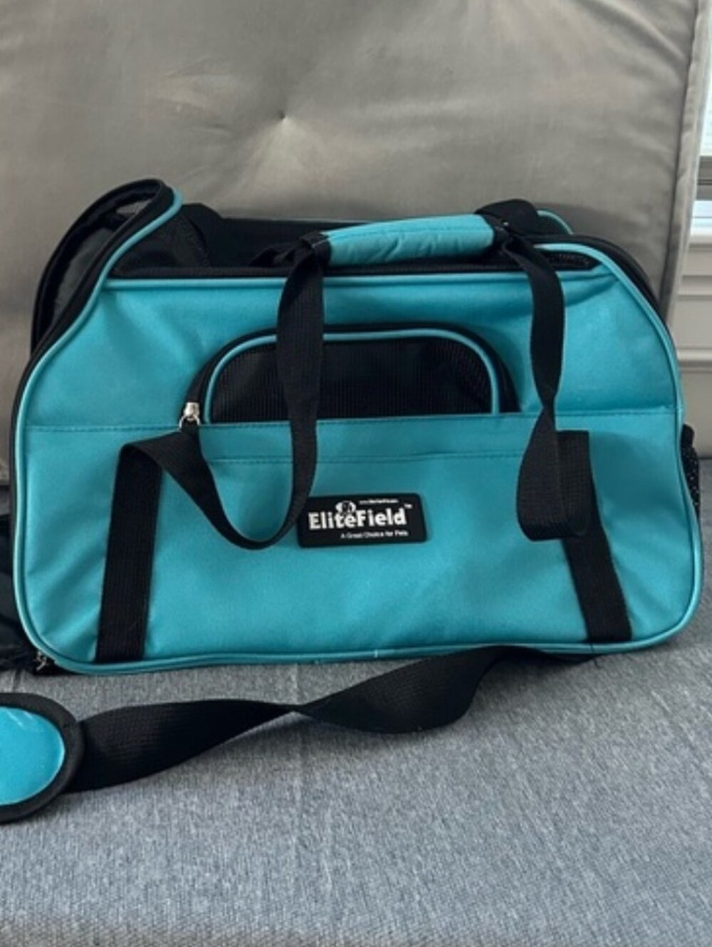 Teal Color Small Pet Travel Carrier